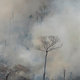 Image for article titled Criminal Gangs Are Behind the Destruction of the Brazilian Amazon